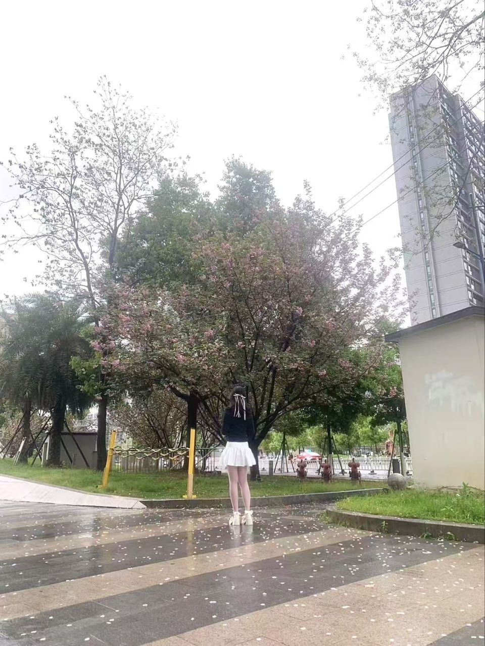 浙江 温州 18岁 165cm 52 A杯 抽烟纹身:无纹身 SM:否 无套:可 口交:可 过夜:否 同居:否 特点:有喜欢的衣服可以你买然后我穿给你看,乖