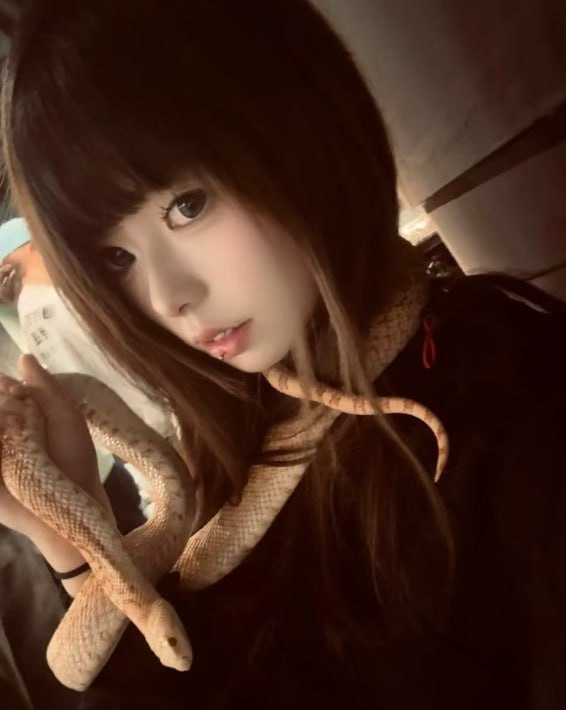 青海 西宁 18岁 165cm 47 B杯 实习 清纯甜美气质里藏反差撩惑,像纯欲蜜桃妖静静陪伴释放心情,情调轻柔懂趣,从不粘人,床上热情配合的亲密高手,活好极致舒服,相处轻松零负担 抽烟纹身:不抽烟有纹身 SM:轻微 无套:否 口交:可 过夜:否 同居:否 可飞:否 价格:3/6 特点:清纯甜美气质里藏反差撩惑,像纯欲蜜桃妖静静陪伴释放心情,情调轻柔懂趣,从不粘人,床上热情配合的亲密高手,活好极致舒服,相处轻松零负担